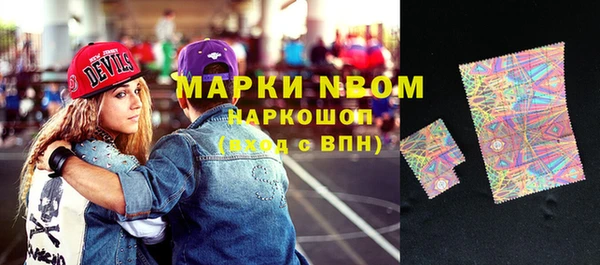 apvp Алзамай