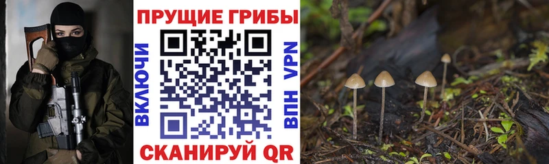 Псилоцибиновые грибы мухоморы  Сим 